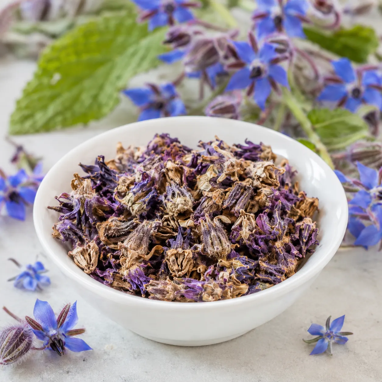 Iranian Borage Herbal Tea