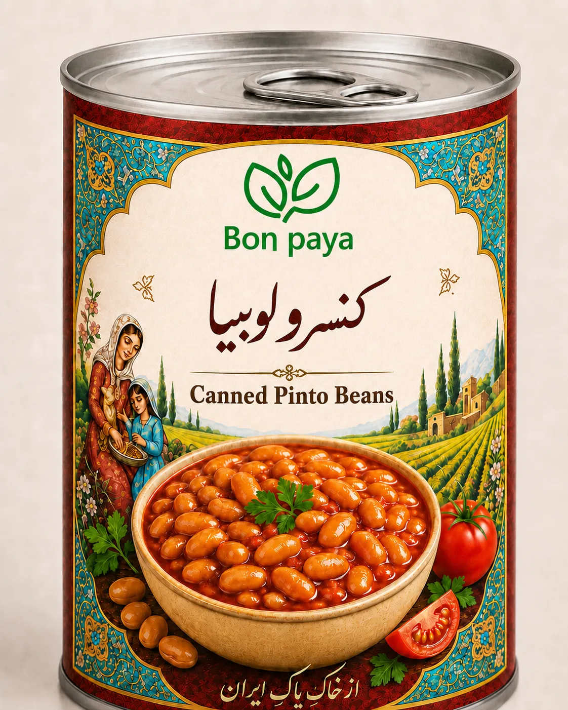 Canned Pinto Beans in Tomato Sauce