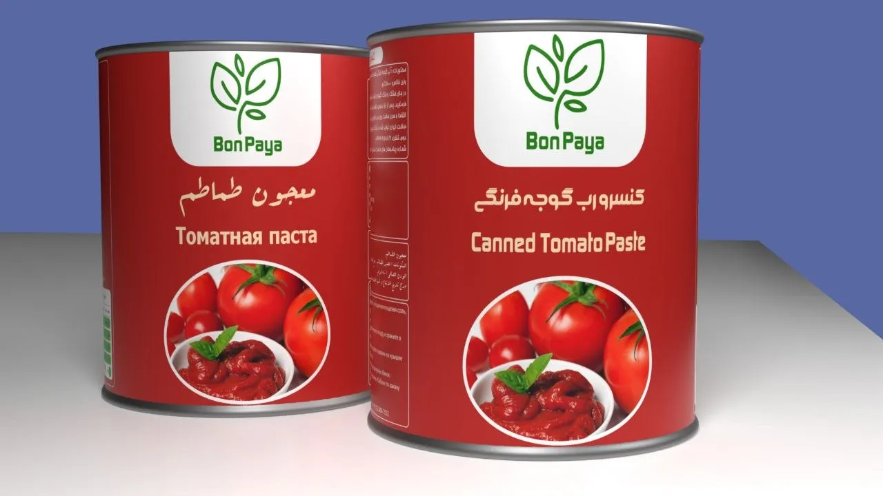 Bon Paya Canned Tomato Paste
